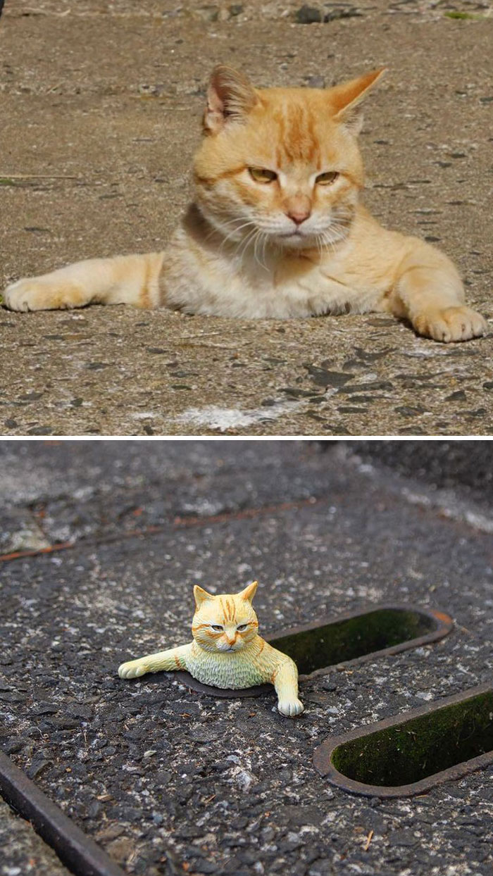 Funny-Animals-Photo-Sculptures-Meetissai