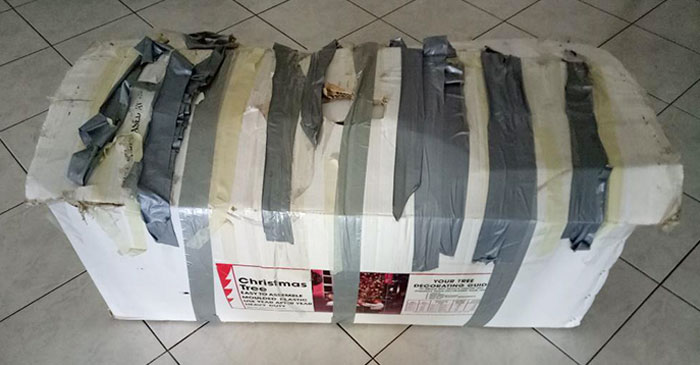 You Can Tell The Age Of A Tree From Its Rings