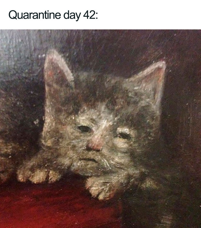 After I Post This, I Will Go To Bed