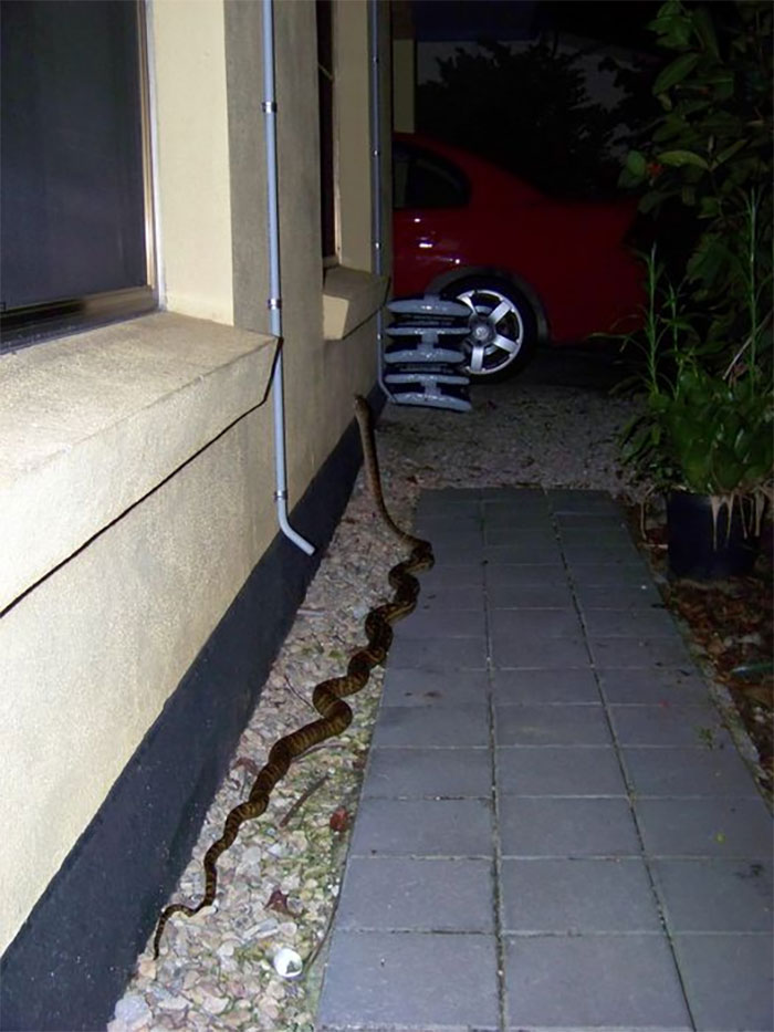 No Outside Light On When I Got Home, Cursed Husband For Leaving Pipe I Tripped Over On Path To The Front Door. Once Inside, Husband Vehemently Denied Any Pipe Misdemeanor, So I Turned On Outside Light To Prove Him Wrong...