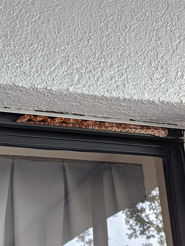 Does It Count As Crap If It Made Me Crap Myself? Asking For A Friend