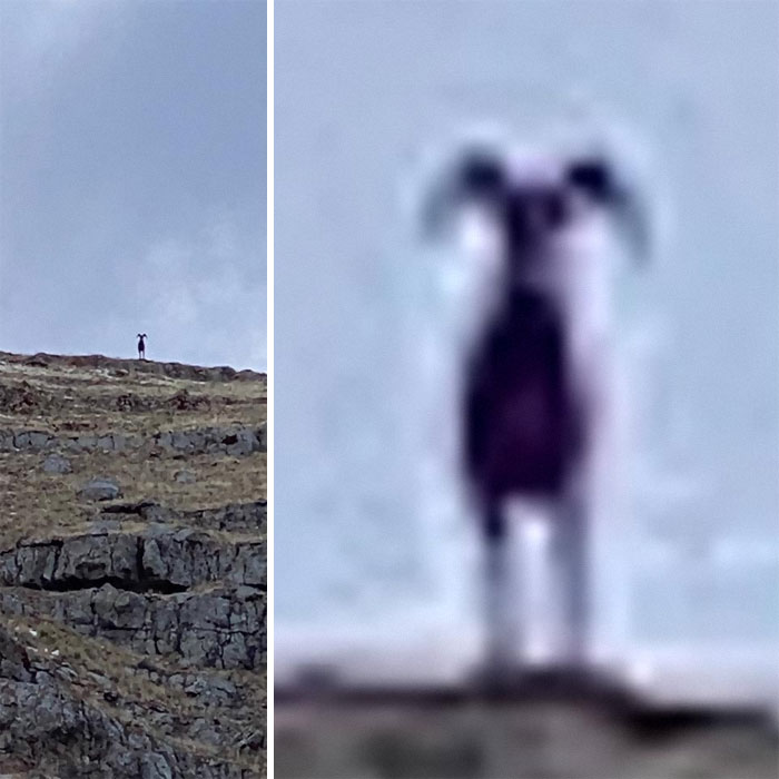 It Was Amazing Experience, Less Than 3 Hours Ago In Jackson Hole, Wy. Pretty Sure This Is Brought To You By The Christmas Star