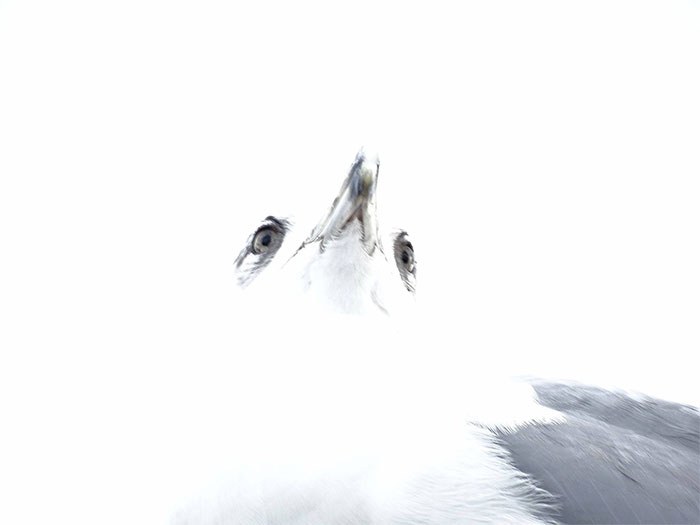 This Is The Weirdest Photo I Have Ever Taken! It Hasn't Been Edited At All