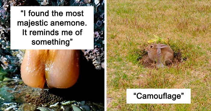 This Facebook Group Is Dedicated To Crappy Wildlife Photos That Are So Bad They’re Good (50 New Pics)