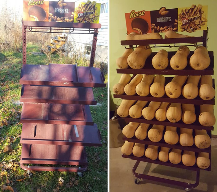 My Husband Rescued This With Permission From Behind A Gas Station In Windsor Ontario Canada. And Behold. Our New Squash Holder