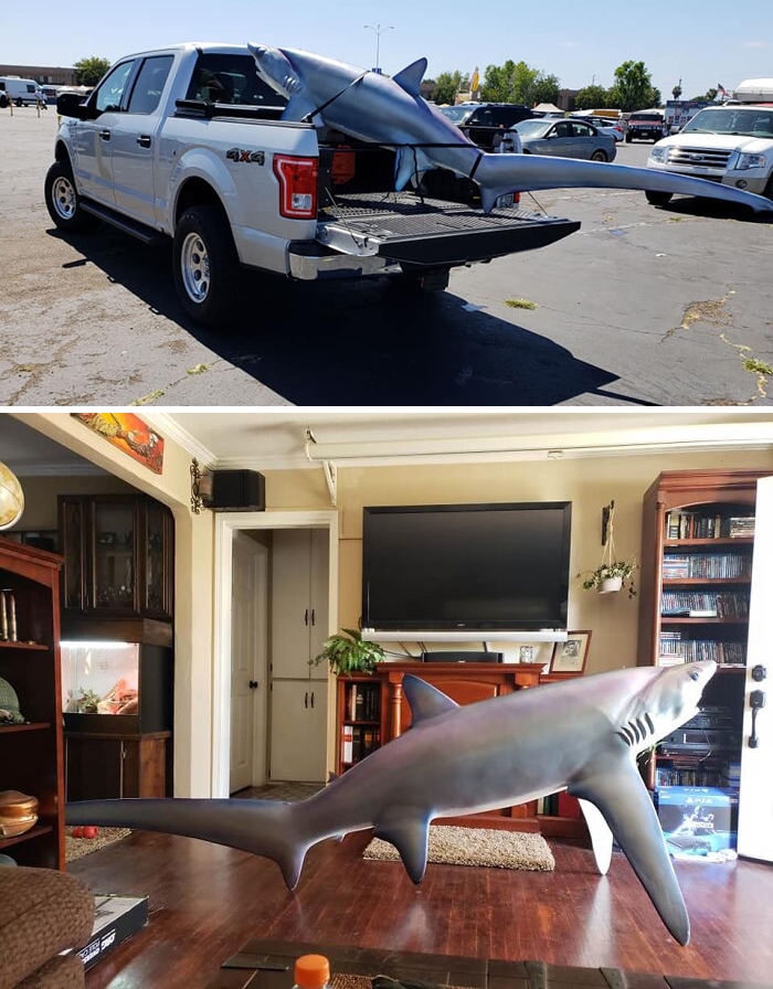 I've Heard You Guys Like Giant "House Pets"... So Here's Brucie!