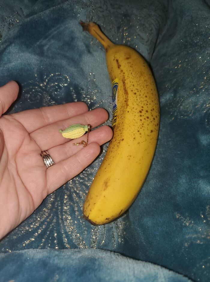 Teeny Tiny Corn Ornament... Cornament? My Daughter Just Found It On The Floor Of Our Living Room... Guessing It Came With Some Ornaments We Got From Our Local Buy Nothing Group. Banana For Scale