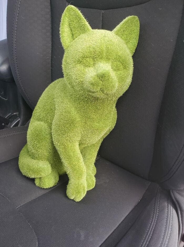 Oh My Gosh You Guys...not A Thrift Store - But I Just Rescued This Dude From The Trash.. He Was Just Chillin On A Recycling Bin During My Walk Today