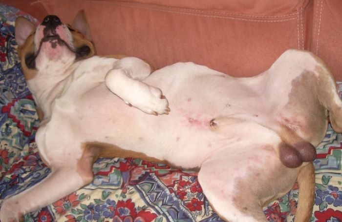 Draw Me Like...wait, I'm French So Just Draw Me