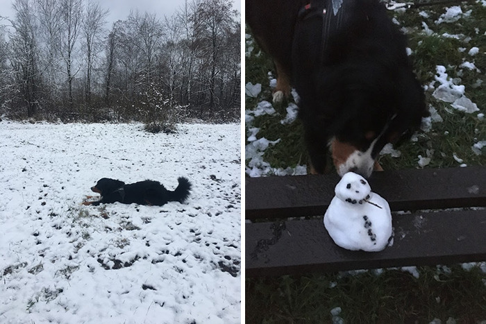 Winter In Vilnius, Lithuania