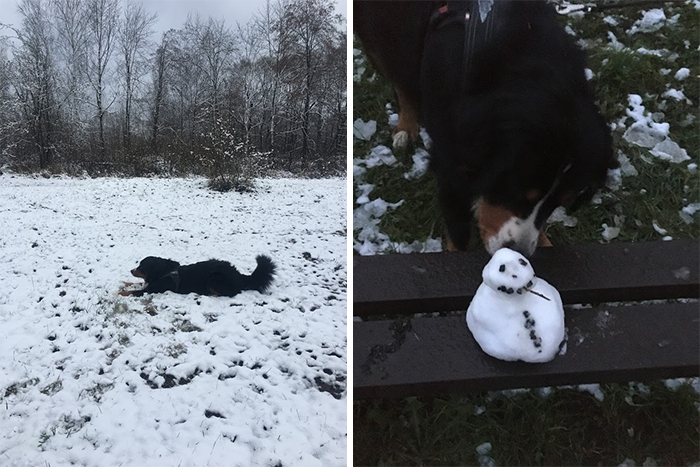 Hey Pandas, If It’s Snowy Where You Are, Share A Pic! (Closed)