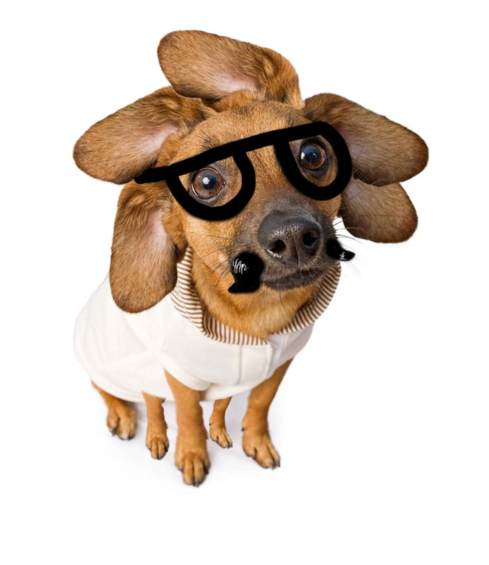 Only Had Like 10mins To Spare, But Maybe This Will Kick Things Off