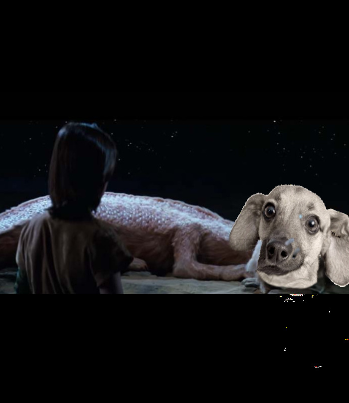 It's A Never Ending Doggggyyyyyy