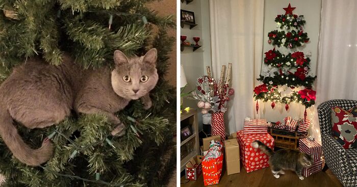 Hey Pandas, Share Your Christmas Tree With Us (Closed)