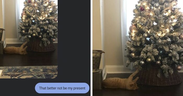 Hey Pandas, Share Your Funniest Texts (Closed)