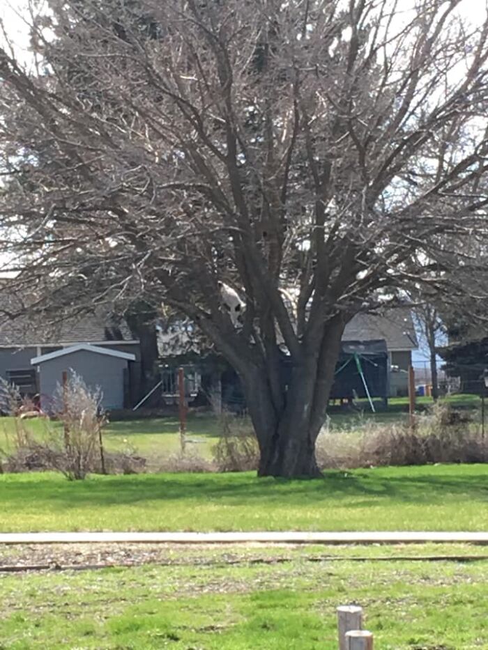 Can You Spot My Girl??