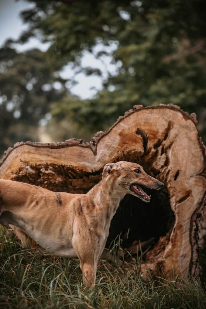 My Man Is Practicing His Camouflage Skills