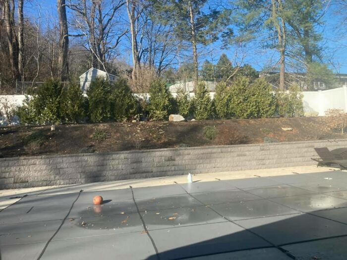 Told Him It Was Bath Time & He Ran. Took Me 20 Minutes To Find Him