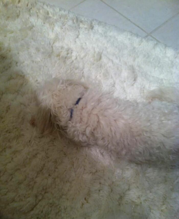 Shhhhh, He’s Not There