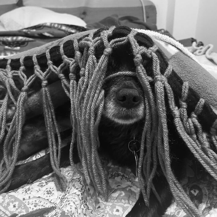 Y’all Don’t Say Anything, She Thinks She’s Winning