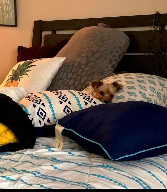 Diamond Isn’t Very Good At This