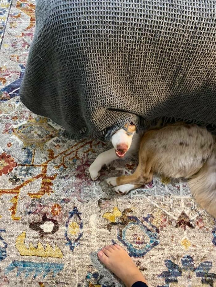 I Spy With My Little Eye