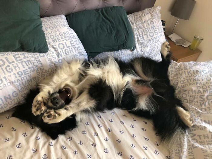 Does This Count? Because I’m Pretty Sure Hotshot Thinks He’s Invisible When He Does This