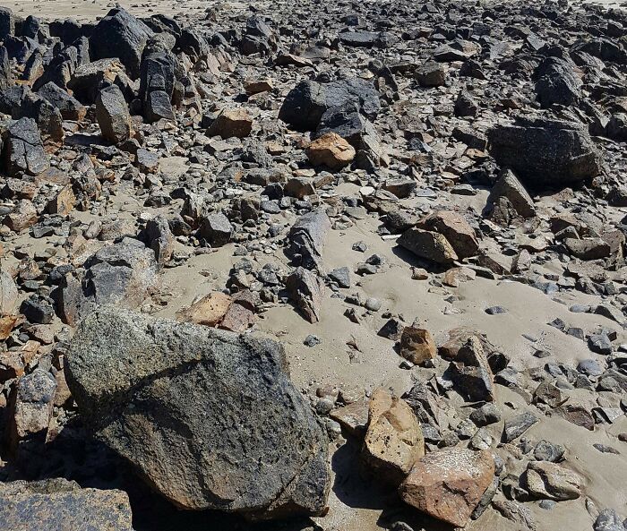 His Is My Dog Freya.. She Hides Very Well At The Beach So I'm Pretty Glad She's A Good Dog