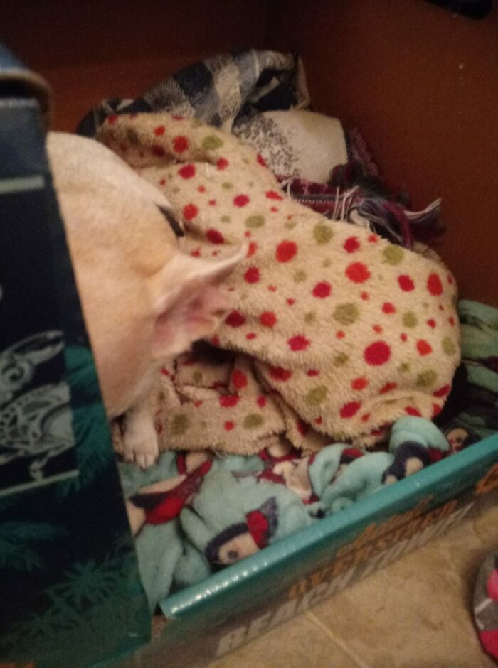 She Thought If She Couldn't See Me I Couldn't See Her She Didn't Want Her Antibiotic