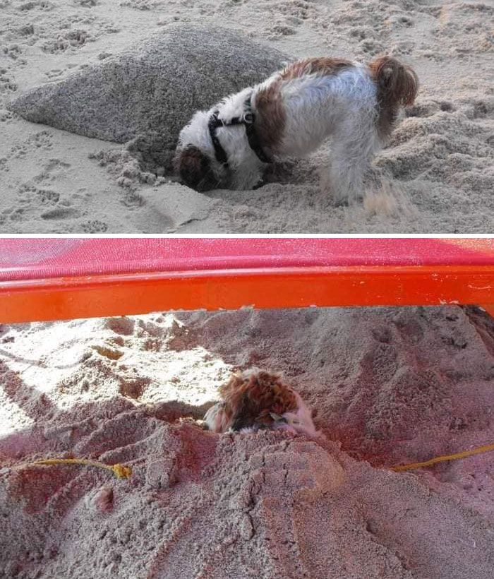 Going... Goooooingggggg... Gone!