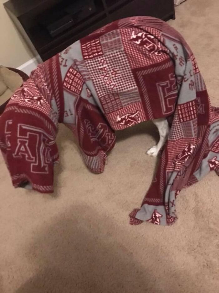 I Don’t Even Know, Y’all