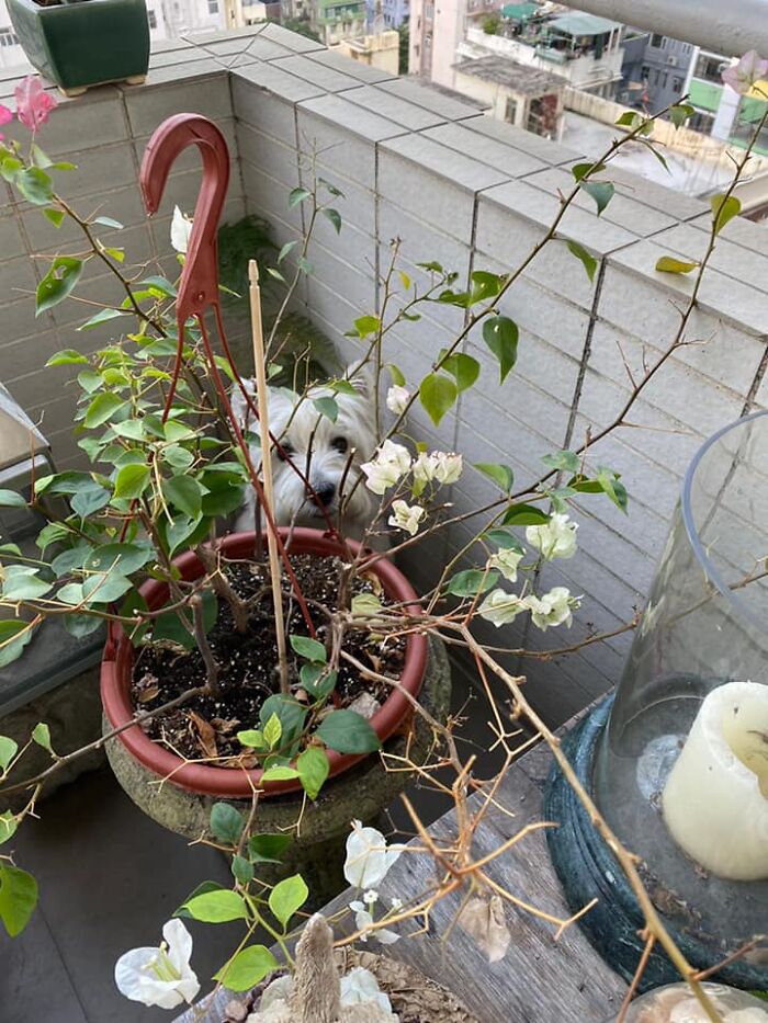 It’s Bathtime But I’m Only Seeing Plants