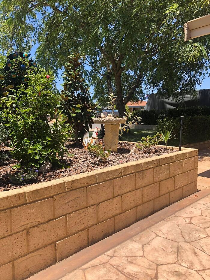 An Easy One But His Face Makes Me