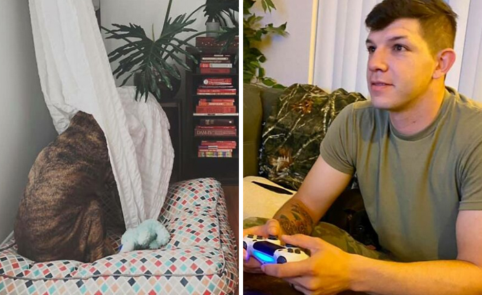 People Post Pics Of Hidden Dogs And The Difficulty Of Finding Them Ranges From 0 To 100