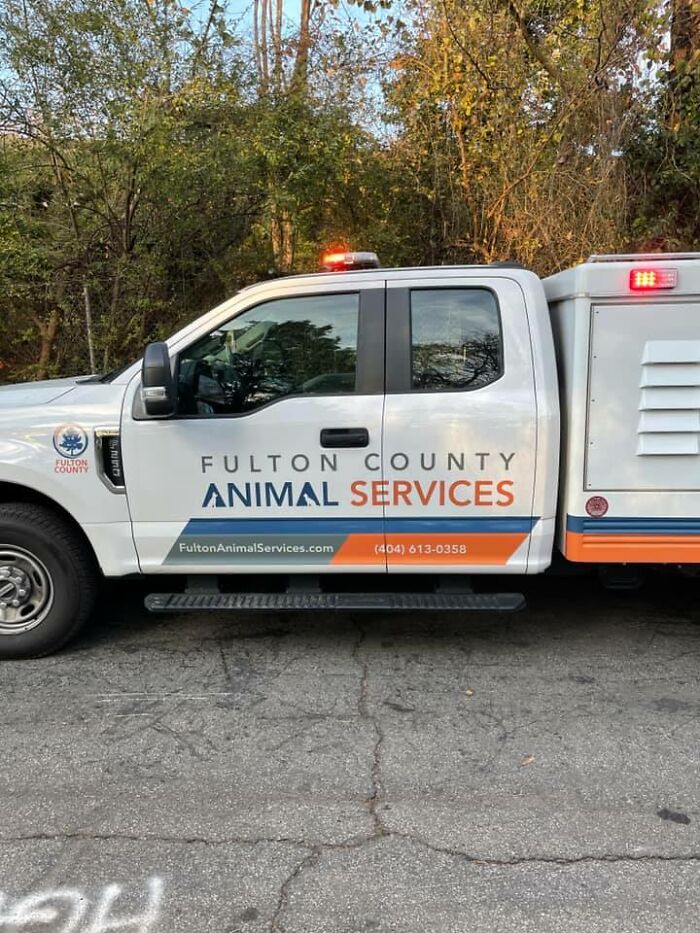 Homeless Man Rushes Into A Burning Animal Shelter - Saves Every Animal Homeless Man Rushes Into A Burning Animal Shelter - Saves Every Animal