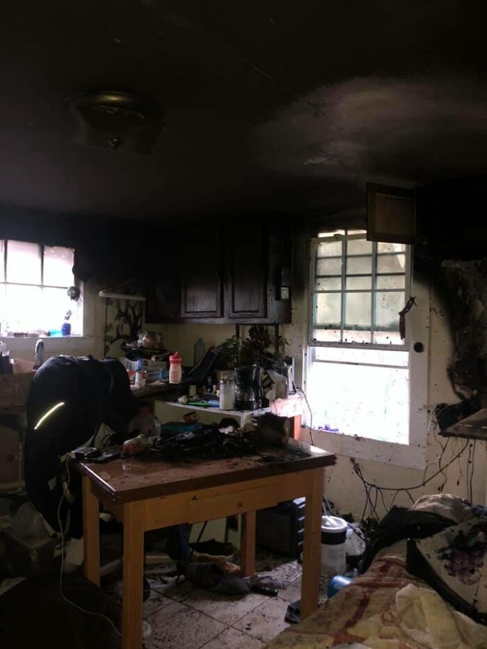 Homeless Man Rushes Into A Burning Animal Shelter - Saves Every Animal