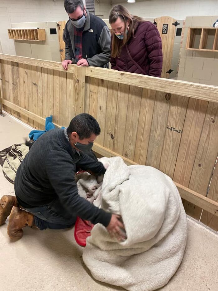 Homeless Man Rushes Into A Burning Animal Shelter - Saves Every Animal