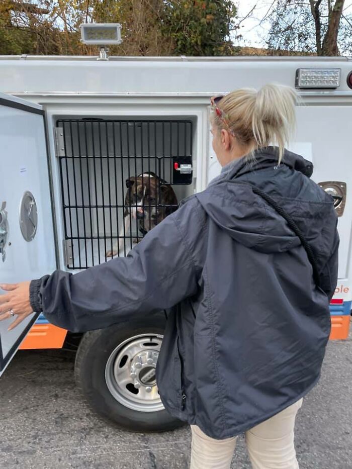 Homeless Man Rushes Into A Burning Animal Shelter - Saves Every Animal Homeless Man Rushes Into A Burning Animal Shelter - Saves Every Animal