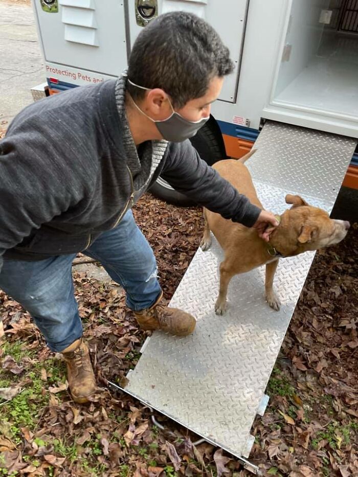 Homeless Man Rushes Into A Burning Animal Shelter - Saves Every Animal Homeless Man Rushes Into A Burning Animal Shelter - Saves Every Animal
