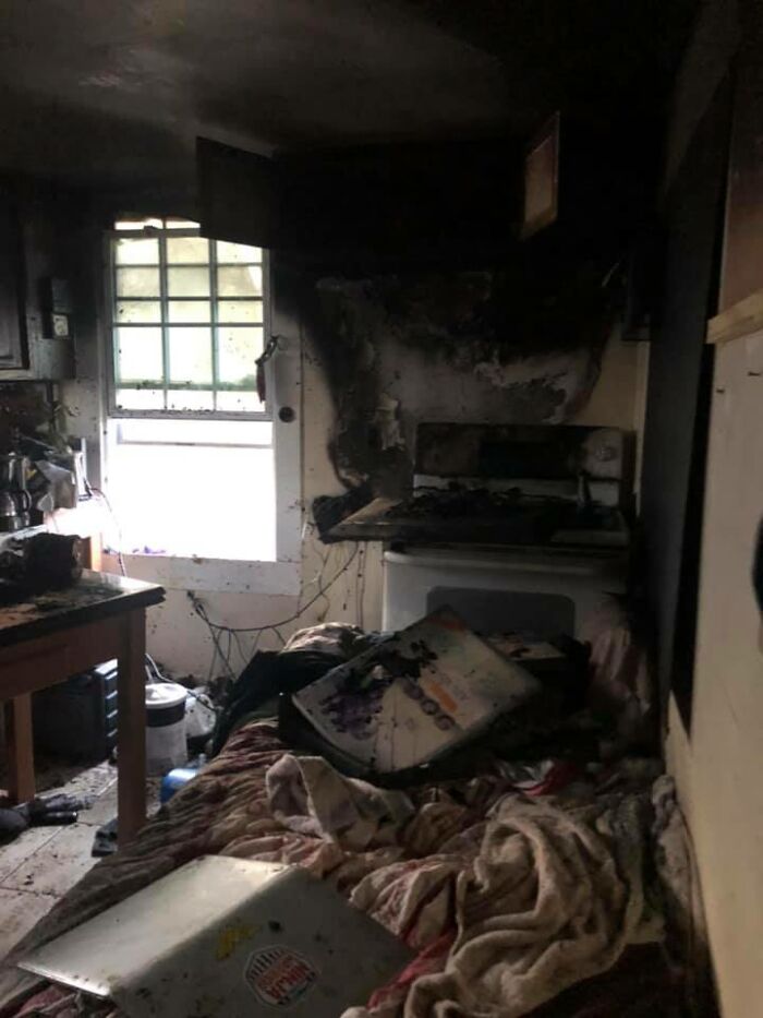 Homeless Man Rushes Into A Burning Animal Shelter - Saves Every Animal Homeless Man Rushes Into A Burning Animal Shelter - Saves Every Animal