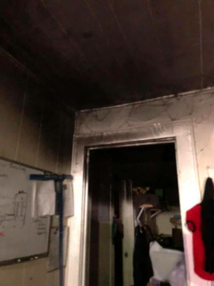 Homeless Man Rushes Into A Burning Animal Shelter - Saves Every Animal