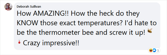 Beekeeper Shares What Bees Do To Stay Warm During Winter Because They Don't Hibernate