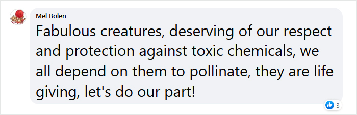 Beekeeper Shares What Bees Do To Stay Warm During Winter Because They Don't Hibernate