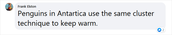 Beekeeper Shares What Bees Do To Stay Warm During Winter Because They Don't Hibernate