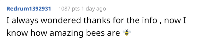 Beekeeper Shares What Bees Do To Stay Warm During Winter Because They Don't Hibernate