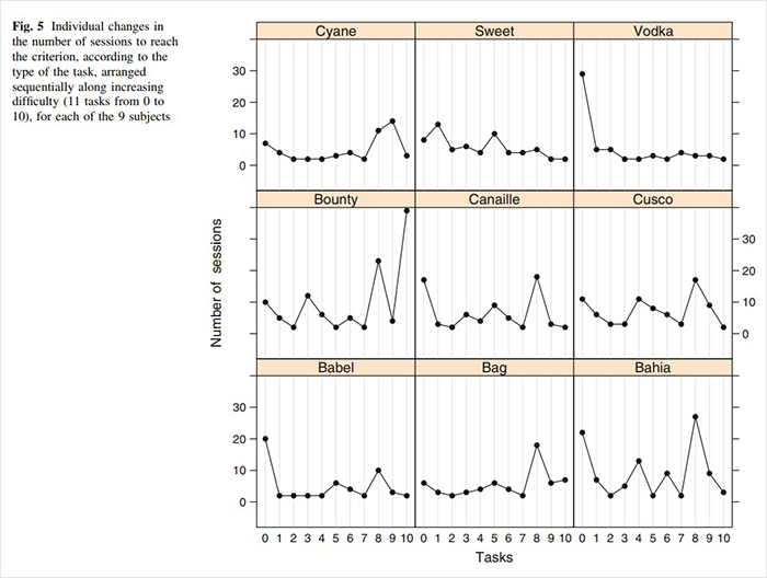 Researchers Try To Identify How Dogs Recognize Each Other, But Their Work Goes Viral For How Cute It Is Researchers Try To Identify How Dogs Recognize Each Other, But Their Work Goes Viral For How Cute It Is