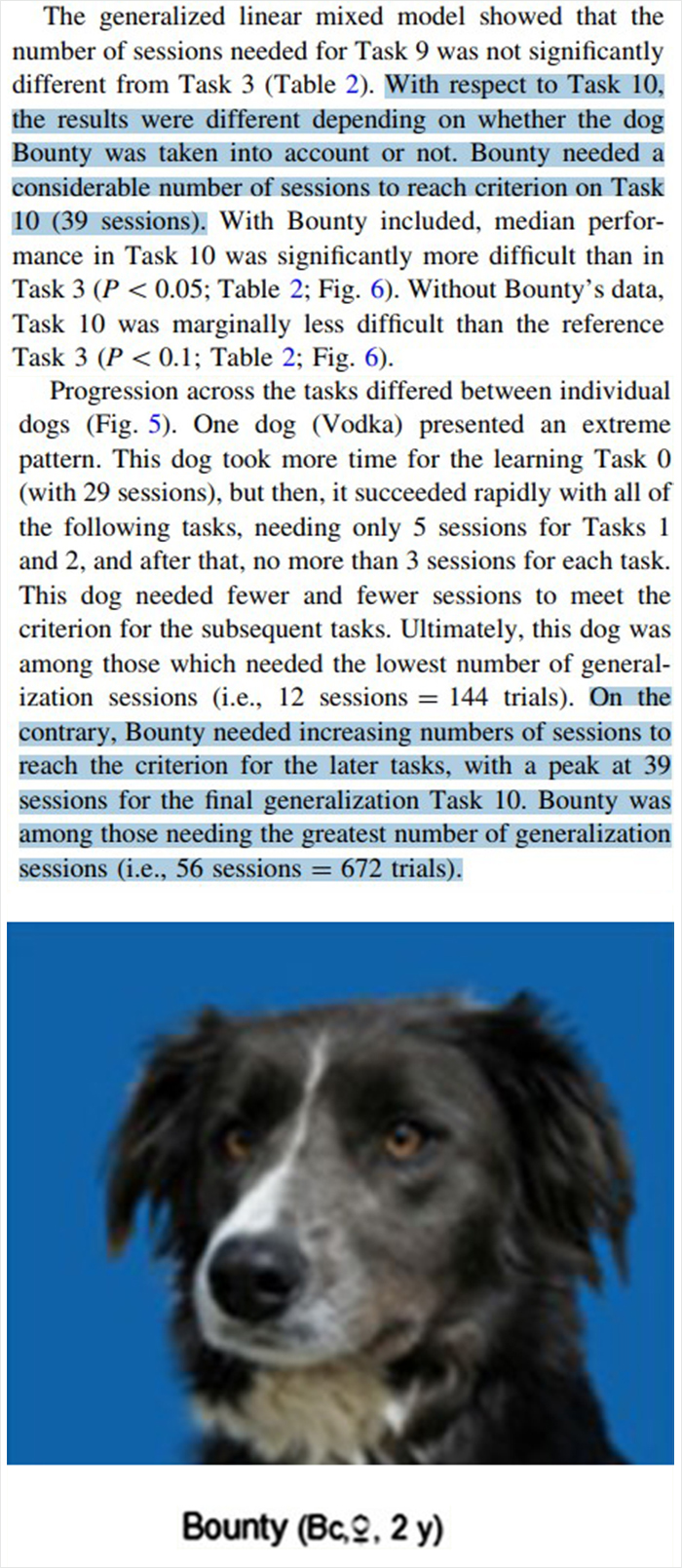 Researchers Try To Identify How Dogs Recognize Each Other, But Their Work Goes Viral For How Cute It Is Researchers Try To Identify How Dogs Recognize Each Other, But Their Work Goes Viral For How Cute It Is