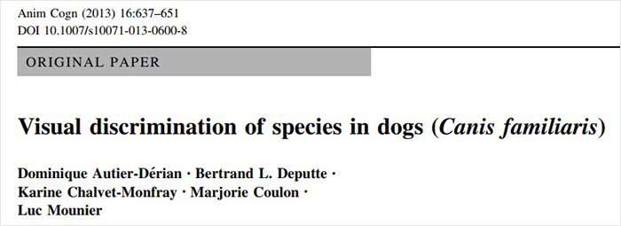 Researchers Try To Identify How Dogs Recognize Each Other, But Their Work Goes Viral For How Cute It Is