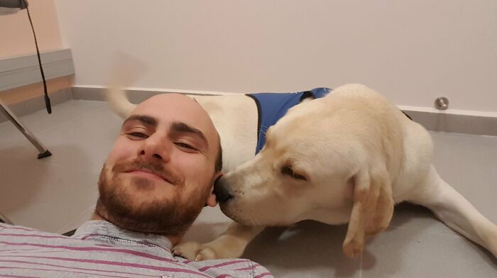 Researchers Try To Identify How Dogs Recognize Each Other, But Their Work Goes Viral For How Cute It Is Researchers Try To Identify How Dogs Recognize Each Other, But Their Work Goes Viral For How Cute It Is