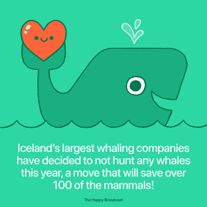 Positive-News-2020-Illustrations-Mauro-Gatti